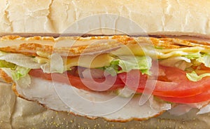 Turkey Sub