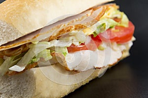 Turkey Sub