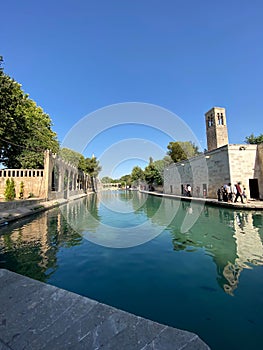 Turkey Urfa fish lake, city of prophets