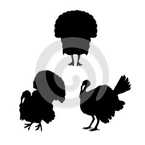 Turkey vector silhouettes