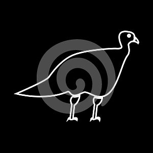 Turkeycock grey set icon .