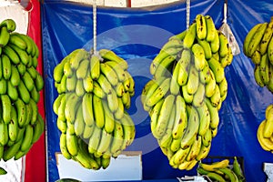 Turkish Anamur Bananas