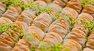 Turkish Baklava