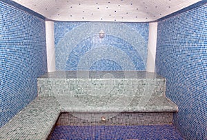 The Turkish bath