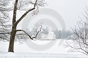 Turkish Bath in Tsarskoe Selo and a tree