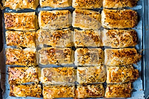 Turkish Borek with Sesame Seeds in Baking Tray / Burek