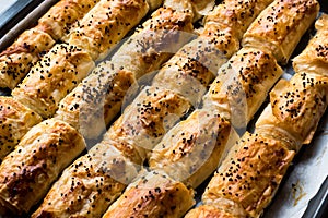 Turkish Borek with Sesame Seeds in Baking Tray / Burek