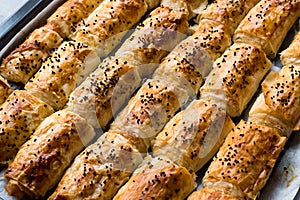 Turkish Borek with Sesame Seeds in Baking Tray / Burek