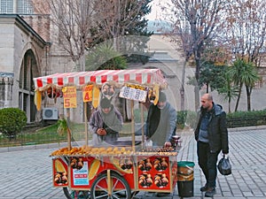 Turkish chestnut, Kestane