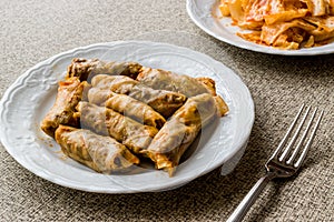 Turkish Dolma Lahana Sarmasi / Cabbage Rolls.
