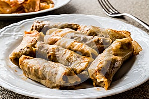 Turkish Dolma Lahana Sarmasi / Cabbage Rolls.