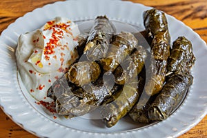 Turkish dolma - vine leaves stuffed with meat