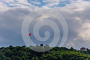 The turkish flag flagging above the trees photo