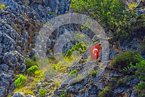 Turkish flag on tree in mountains