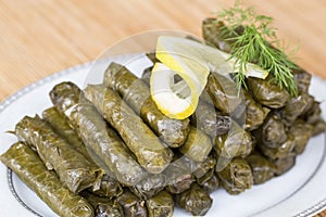 Turkish foods; stuffed leaves yaprak sarma dolma
