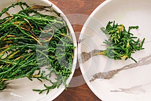 Turkish and Greek appetizers, sea cow pea with olive oil (salicornia or glasswort), Mediterranean meze
