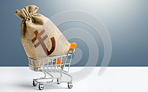 Turkish lira money bag in a shopping cart. Public budgeting. Profits and super profits. Economic bubbles. Business and trade