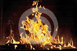 Turkish mangal barbecue