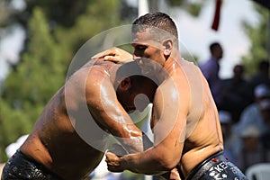 Turkish Oily Wrestling