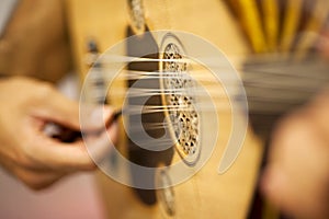 Turkish Oud Player