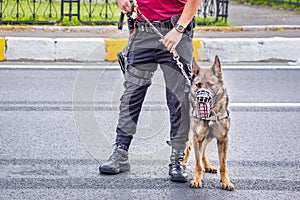 Turkish police officer holds black security dog