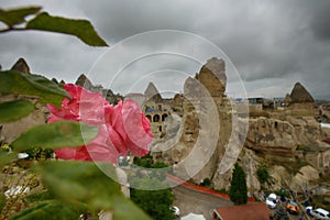 Turkish Red Rose flower Turkey Cappacodia city background