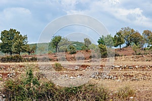 Turkish rural landscape. View on red clay and stones
