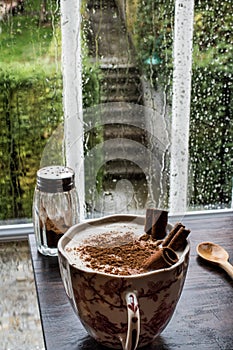 Turkish Salep with cinnamon sticks / Christmas Eggnog