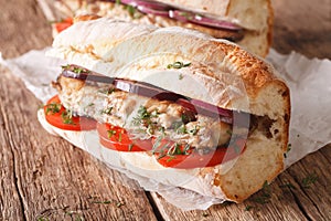 Turkish sandwich balik ekmek close-up. horizontal