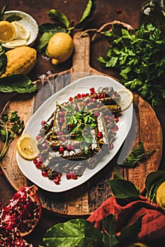 Turkish Sarma wine leaves filled with rice, spices with pomegranate