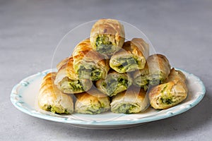 Turkish Tepsi Boregi, Round Borek, Tray pastry (Turkish name rulo borek - sigara boregi