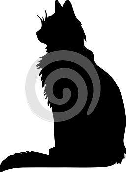 Turkish Van Cat Black Silhouette Generative Ai