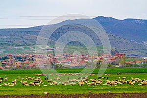 Turkish village at Central Anatolia Turkey