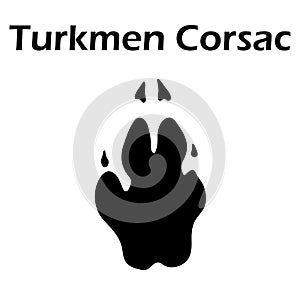 Turkmen Corsac Footprint