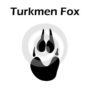 Turkmen Fox Footprint