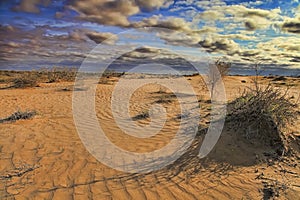 Turkmenistan. Karakum desert in spring. The landscape of the Central Asian desert