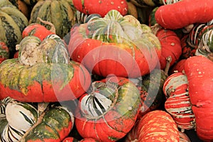 Turks Turban squash on table at outdoor market