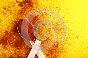 Turmeric and chilly powder in spoon