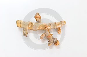 Turmeric white background in studio