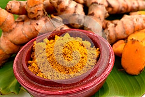 Turmeric (Curcuma longa L. )