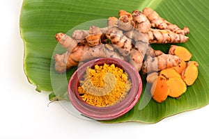 Turmeric (Curcuma longa L. )