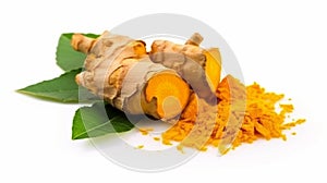 Turmeric Curcuma longa Linn rhizome root sliced with Finely dry powder