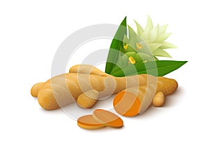 Turmeric with flower on white background