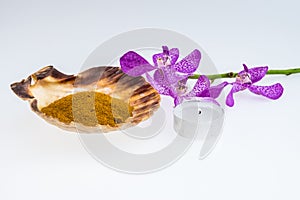 turmeric powder in seashell with Pink mokara orchids and tea light isolated on white background