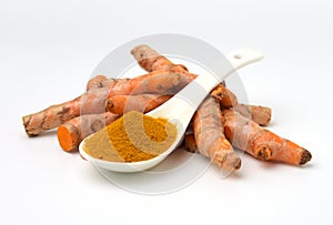 Turmeric powder in white spoon and turmeric (curcumin) rhizomes on a white background For cooking