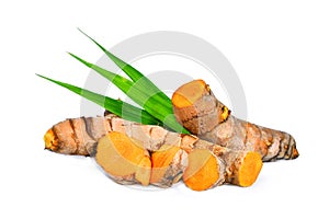 Turmeric root with green leaves isolated on white