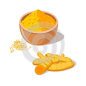 Turmeric Root with Powder in Bowl