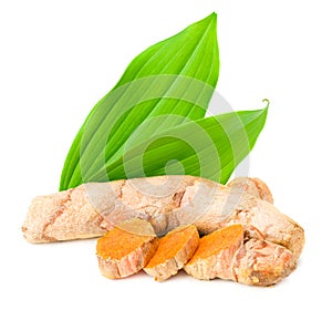 Turmeric root with turmeric slices isolated on white background