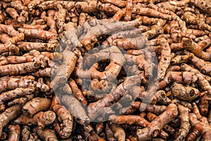 Turmeric roots close up display in the fresh vegetable market