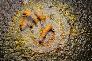 Turmeric roots kept on stone background
